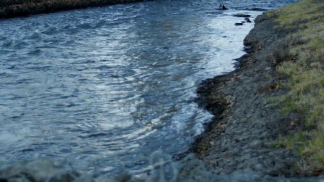 Panasonic Lumix G DMC‑GH4 test with Cannon FD lens & Metabones adapter 4k смотреть онлайн