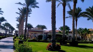 Rixos Sharm отель только для ВЗРОСЛЫХ Лучший отель Египта