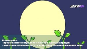 Влияет ли Лунный Календарь на Растения - Влияние Луны на Рост Растений