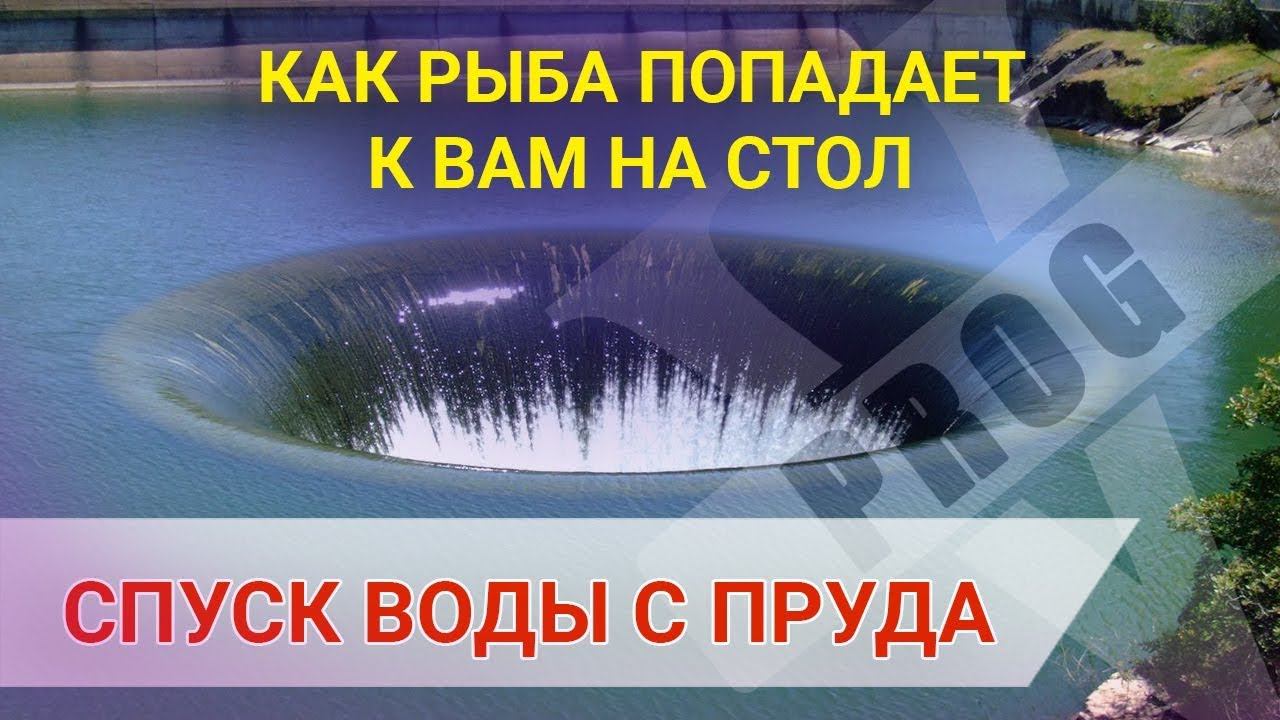 СПУСК ВОДЫ С ВОДОЕМА! Как вылавливают рыбу с пруда. Рыбалка руками.