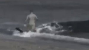 Мужика съела акула!!!!