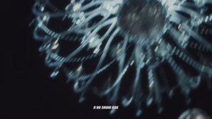 LYRIQ | Первые цветы 🌷Кончится зима и растает снег, больше одиноко не будет тебе...