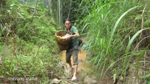 Harvesting, carp, smoked fish making process, food preservation for Tet, survival alone