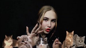 АСМР СЧИТАЕМ КОТИКОВ ПЕРЕД СНОМ | ASMR COUNTING CATS BEFORE SLEEP