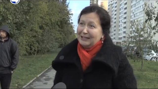 Вороны с камнями смотреть онлайн