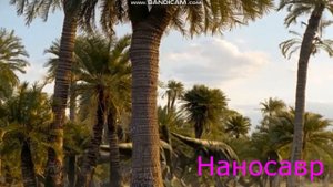 Баллада о большом Але научный разбор.