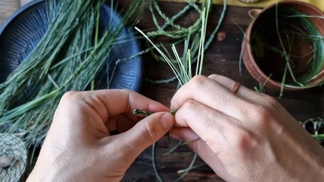 Старинный способ плетения травяных корзин из осоки:  бесконечный шнур