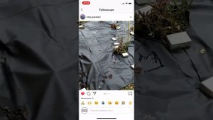 Кора лиственницы сверху геотекстиля (от miliy_buketik2)