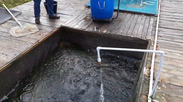 Грамотное зарыбление форелью! Парус север! смотреть онлайн