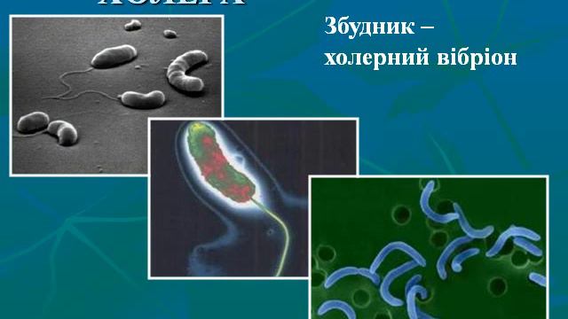 Презентация Хвороботворні бактерії смотреть онлайн