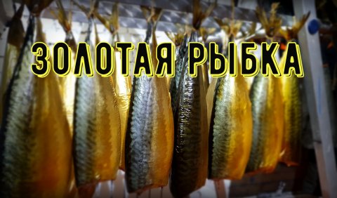 Скумбрия холодного копчения в домашних условиях