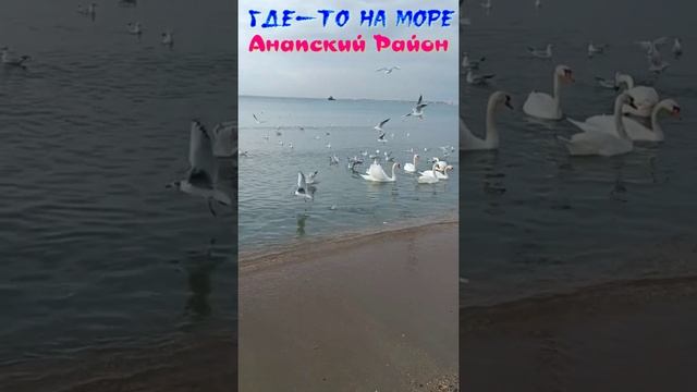 Где-то на море 2