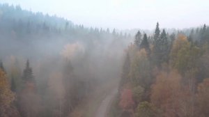 Залипательное видео,красивая природа,релакс музыка ,пейзажи ,Beautiful