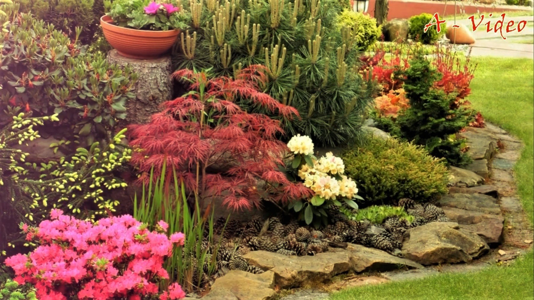 ?Яркие примеры садовых композиций / Interesting Ideas For The Garden Plot / A - Video