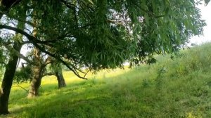 Ваша жизнь изменится, как только перестанете ждать.