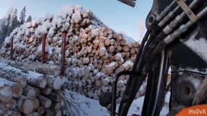 Лесовозы Вольво подымаются в гору.