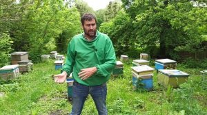 Все пчелы роятся, период роения пчел, признаки роения у пчел.Почему пчелы заходят в роевое состояни