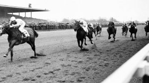 Как мертвый всадник выиграл скачки лошадей в Белмонте