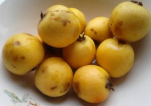 Мушмула . Что приготовить из мушмулы.