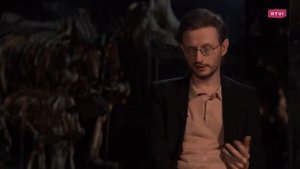 Как появилась религия у древних людей