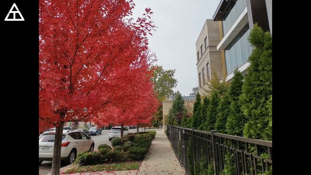 Huawei Mate 20 Pro Review! смотреть онлайн