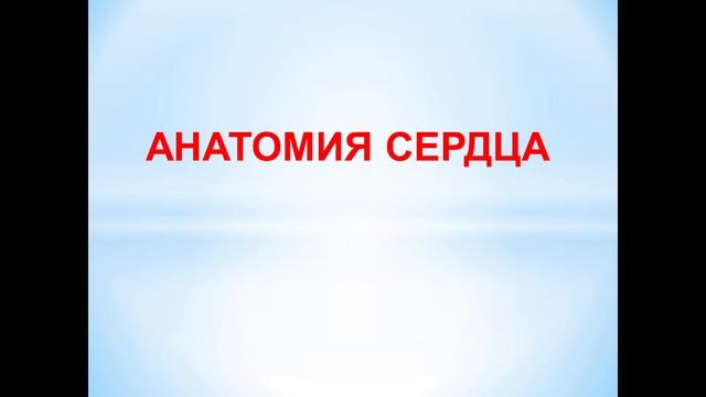 Введение в изучение сердечно-сосудистой системы. Анатомия сердца. 13.05.2022; 14.15