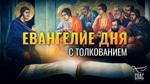 «ВЫ ПЕЧАЛЬНЫ БУДЕТЕ, НО ПЕЧАЛЬ ВАША В РАДОСТЬ БУДЕТ» / ЕВАНГЕЛИЕ ДНЯ