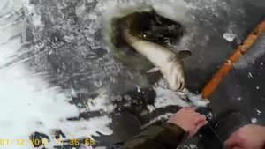 1.12.17.Первая проверка.Есть налим!.mp4