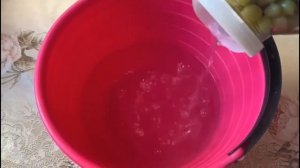 КОМПОТ ИЗ ВИНОГРАДА И ВИШНИ НА ЗИМУ!!!