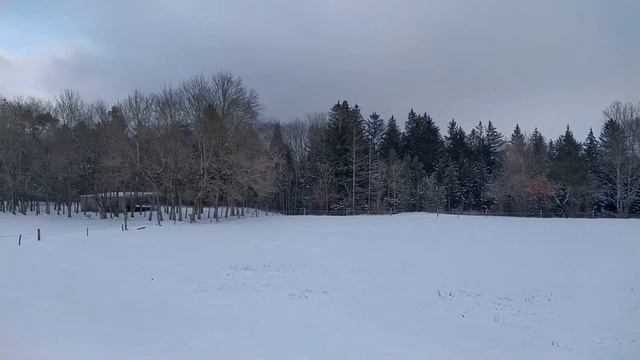 Germany Landsberg Weather. смотреть онлайн