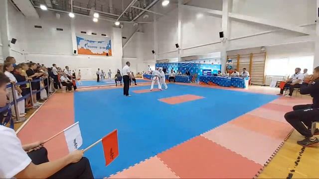 Пл 8 "А" (15.09 День) КИОКУШИН XIV Всероссийские юношеские игры боевых искусств смотреть онлайн