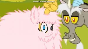 Флаффи Пафф и Дискорд