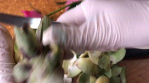 Артишок Как чистить Рецепт alcachofa artichoke Рецепт