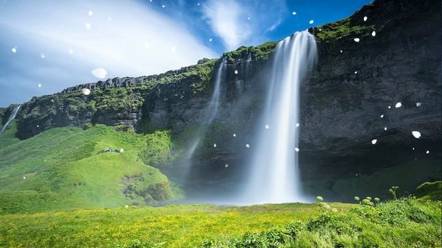 Музыка расслабляет нервную систему, улучшает память ? Сергея Чекалина музыка смотреть онлайн