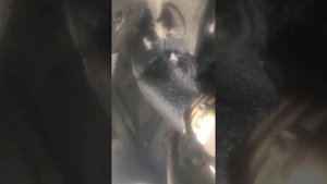 Замена цепи и башмаков на Мерседесе глк 220 651 мотор не снимая двигателя и кпп часть1