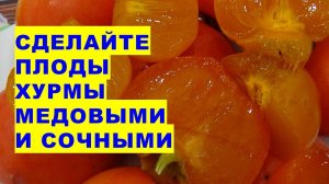 Каким образом недозревшие плоды хурмы сделать медовыми и сочными?