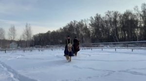 Обучение верховой езде и конные прогулки в Новой Москве!