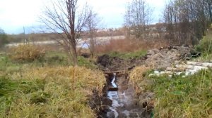 Голубая глина на моем участке