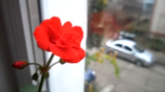 Macro test Samsung ST70 смотреть онлайн