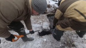 Погостье. Поисковые работы. Зима.