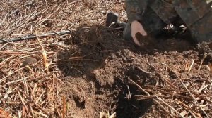 Кладоискатель нашел Клад Царских медных монет