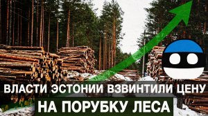 Власти Эстонии взвинтили цену на порубку леса