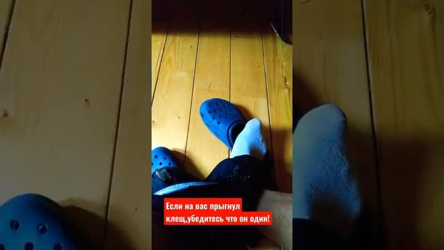 Что делать если укусил клещ?! смотреть онлайн