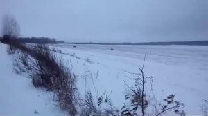 Загонная охота