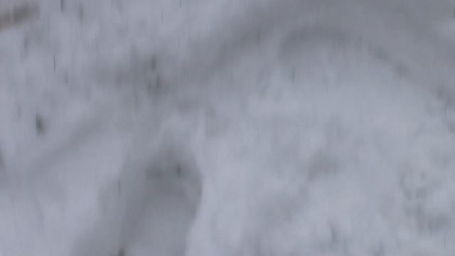 Облил ледяной водой свою девушку / Жарим печень с овощами на костре смотреть онлайн