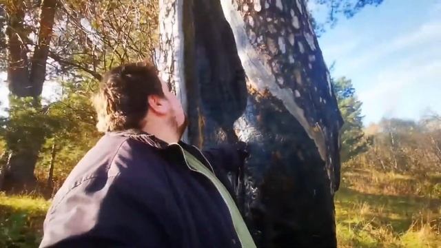 Сказка странствий. Укради, уведи с собою! смотреть онлайн