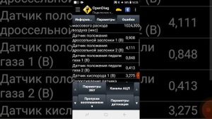 Как проверить электронную педаль газа (е-газ) и дроссельную заслонку .