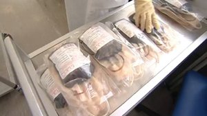 Как я сдавала кровь.