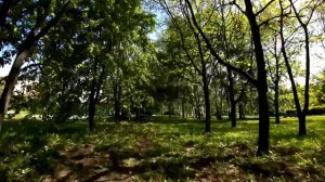 Cinebot 30 DJI O3 6S - первые тестовые полеты, видео с Dji O3 Air Unit