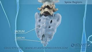 Эндоскопическое удаление грыжи диска смотреть онлайн